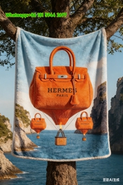 Hermès Orange Hot Air Balloon Flannel Fleece Throw Blanket IMG_4969
